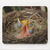 Baby vogels muismat (Voorkant)