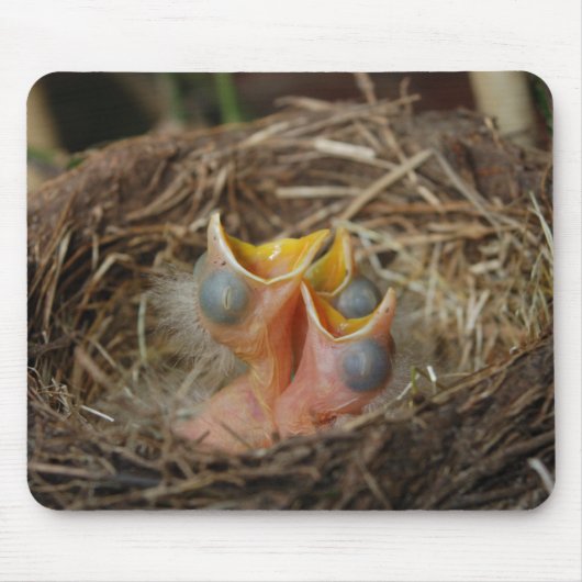 Baby vogels muismat (Voorkant)