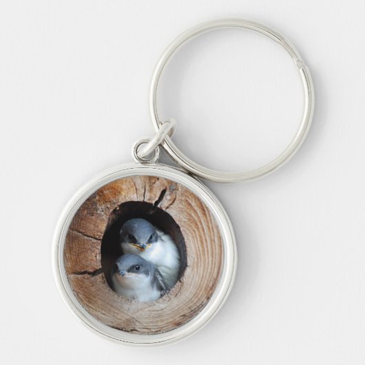 Baby vogels sleutelhanger (Voorkant)