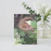 Baby vogels zingen het lied van de lente.... briefkaart (Staand voorkant)