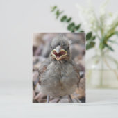 Baby-vogelstand-Briefkaart Briefkaart (Staand voorkant)