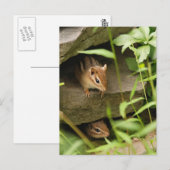 Baby voor verbergen en zoeken briefkaart (Voorkant / Achterkant)