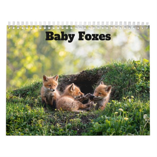Baby Vossen 2027 Kalender (Hoes)