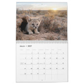 Baby Vossen 2027 Kalender (Mar 2027)