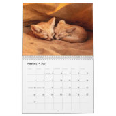 Baby Vossen 2027 Kalender (Feb 2027)