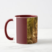  baby vossenbos mok (Links)