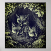  baby vossenbos poster (Voorkant)