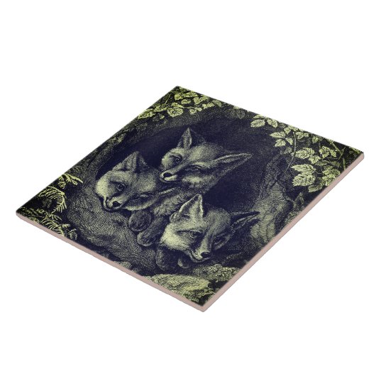  baby vossenbos tegeltje (Zijkant)