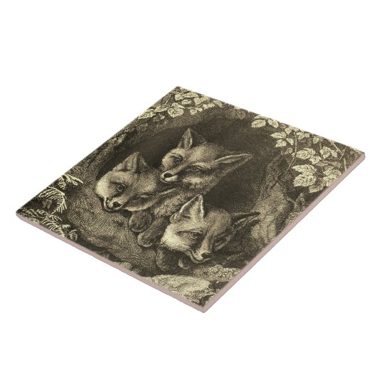 baby vossenbos tegeltje (Zijkant)