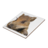 Baby Warthog Tegeltje (Zijkant)