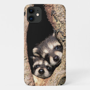 Baby wasberen die uit een boom kijken Case-Mate iPhone case