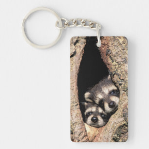 Baby wasberen die uit een boom kijken sleutelhanger