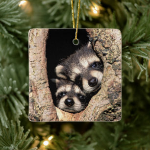 Baby wasberen gluren uit boom keramisch ornament