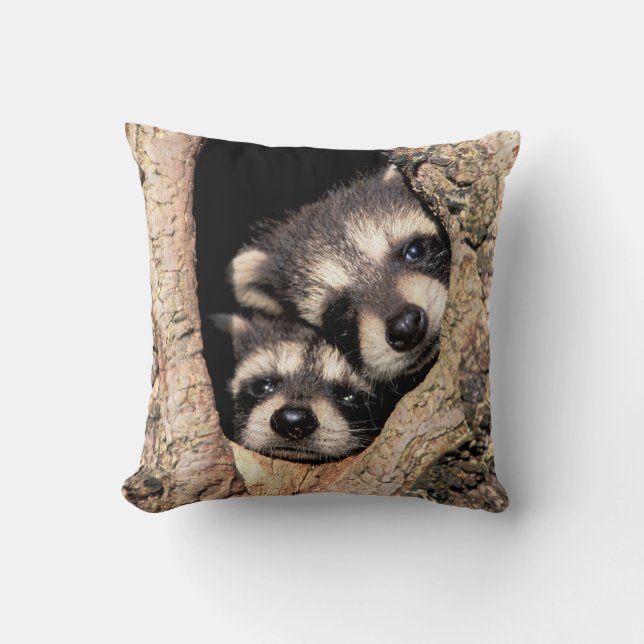 Baby wasberen gluren uit boom kussen (Voorkant)