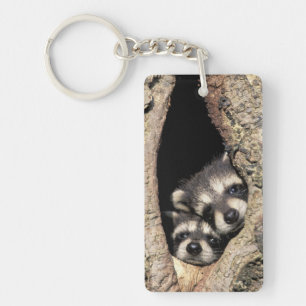 Baby wasberen in boomholte Procyon Sleutelhanger