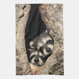 Baby wasberen in boomholte Procyon Theedoek