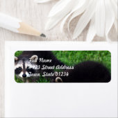 Baby wasberen mailinglabels etiket (Insitu)