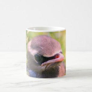 Baby Waxing Bird Face Natuur Gepersonaliseerd Koffiemok