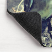 Baby Waxing Fledgling Bird Natuur Muismat (Hoek)