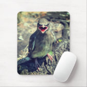 Baby Waxing Fledgling Bird Natuur Muismat (Met muis)