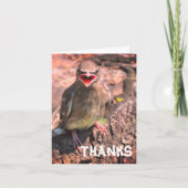 Baby Waxvogel  Hartelijk dank Bedankkaart (Voorkant)
