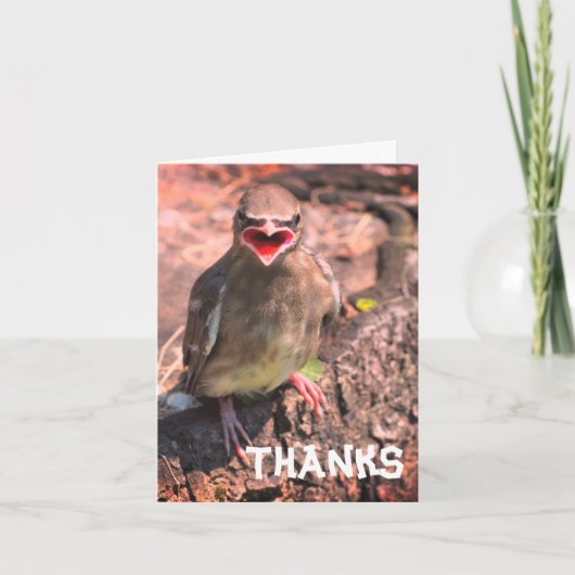 Baby Waxvogel  Hartelijk dank Bedankkaart (Voorkant)