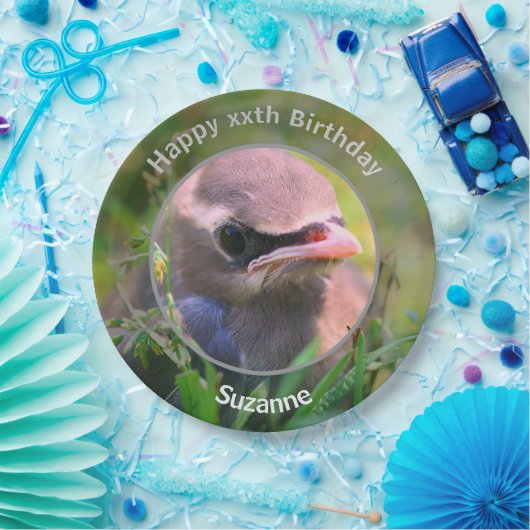 Baby Waxwing Bird gepersonaliseerd verjaardagsfees Papieren Bordje (Feest)