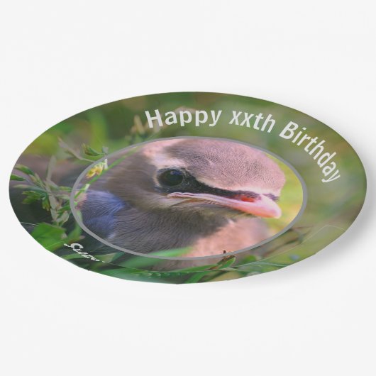 Baby Waxwing Bird gepersonaliseerd verjaardagsfees Papieren Bordje (Gekanteld)