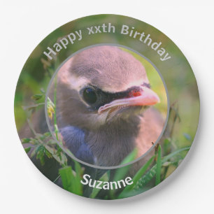 Baby Waxwing Bird gepersonaliseerd verjaardagsfees Papieren Bordje