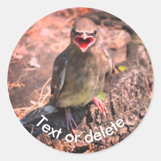 Baby Waxwing Bird Natuur - Gepersonaliseerd Ronde Sticker (Voorkant)