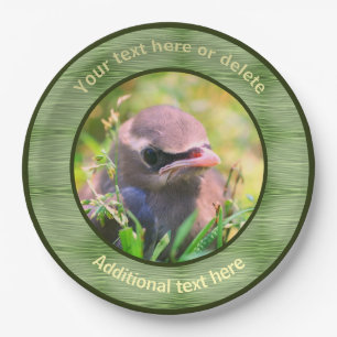 Baby Waxwing Bird Natuur Gepersonaliseerde Partij Papieren Bordje