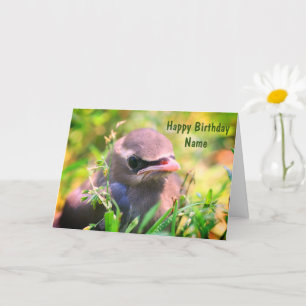 Baby Waxwing Bird Personalized Birthday Kaart