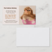 Baby Welzomer Chick in de eierkippenhatchery Visitekaartje (Voorkant / Achterkant)