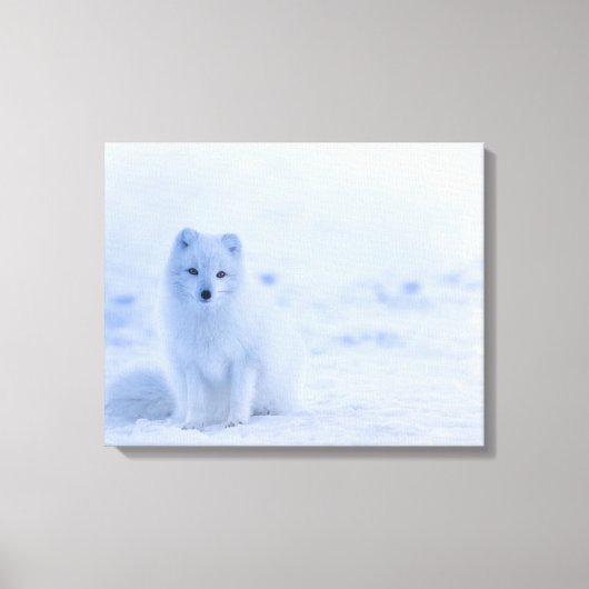 Baby White Artic Fox bij sneeuw Canvas Afdruk (Voorkant)