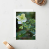 Baby White Flower Notitiekaartje (Voorkant / Achterkant in situ)
