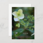 Baby White Flower Notitiekaartje (Voorkant / Achterkant)