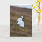 Baby White Hare Kaart (Gele Bloem)