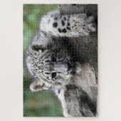 Baby White Leopard kijkt naar je vanaf een rots Legpuzzel (Verticaal)