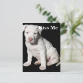 Baby White Pitbull Puppy Briefkaart (Staand voorkant)