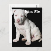 Baby White Pitbull Puppy Briefkaart (Voorkant / Achterkant)