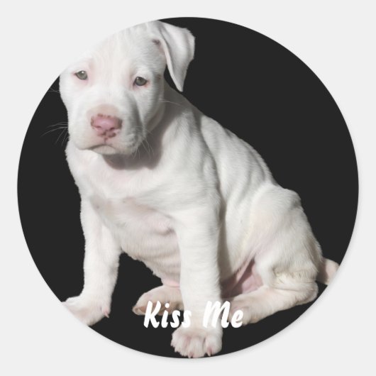 Baby White Pitbull Puppy Ronde Sticker (Voorkant)