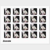 Baby White Pitbull Puppy Vierkante Sticker (Vel)