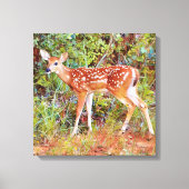 Baby Wild Deer Fawn Canvas Art Print (Voorkant)