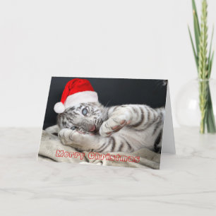 baby witte Bengalen tijger met Kerstmispet Feestdagen Kaart