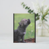 Baby Wolf Howls Briefkaart (Staand voorkant)