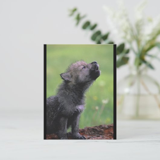 Baby Wolf Howls Briefkaart (Staand voorkant)