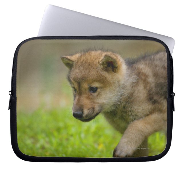 Baby Wolf Laptop Sleeve (Voorkant)