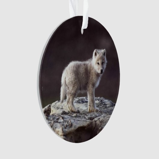 Baby Wolf Ornament (voorkant)