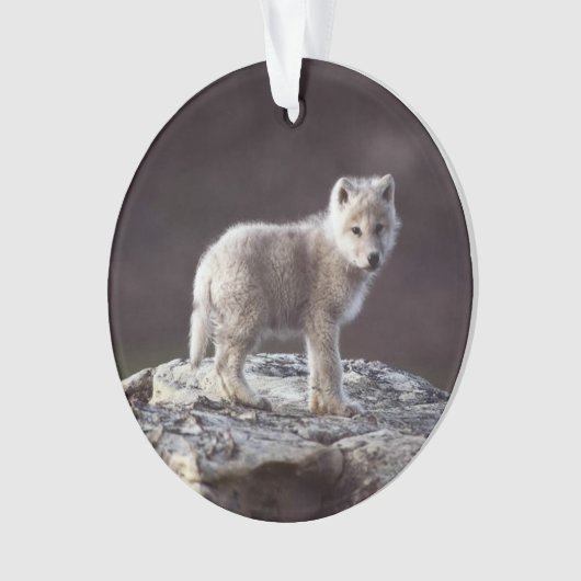 Baby Wolf Ornament (voorkant)