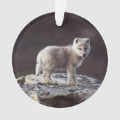 Baby Wolf Ornament (voorkant)